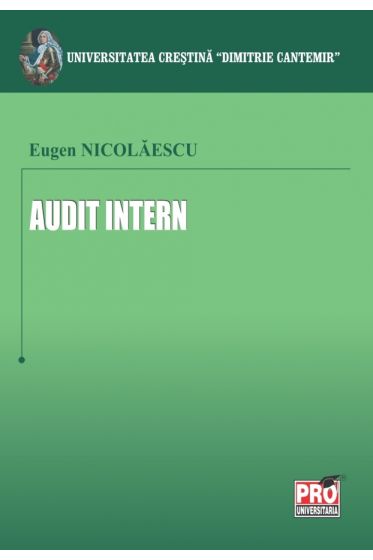 Audit intern