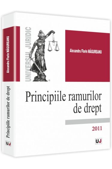 Principiile ramurilor de drept