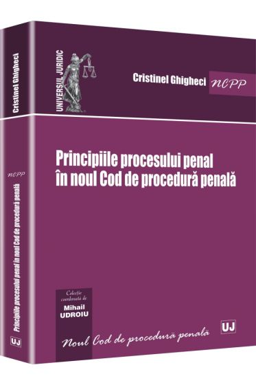 Principiile procesului penal in noul Cod de procedura penala