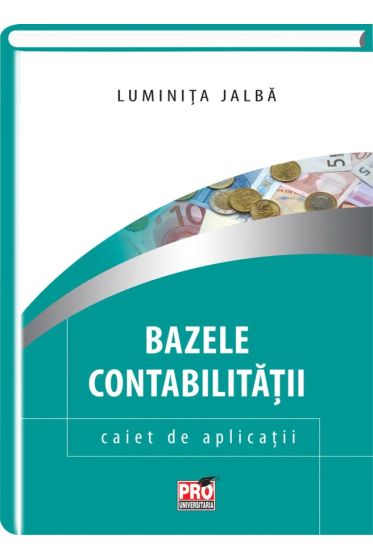 Bazele contabilitatii