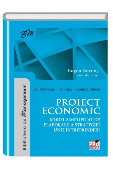 Proiect economic. Model simplificat de elaborare a strategiei unei intreprinderi
