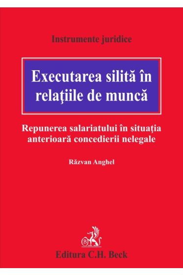 Executarea silita in relatiile de munca. Repunerea salariatului in situatia anterioara concedierii nelegale
