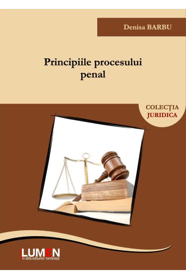 Principiile procesului penal