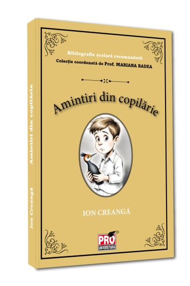 Amintiri din copilarie